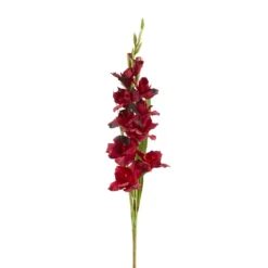 Cheapest 💯 Gladiolus Stem by Ashland® ✨ 9 Cheapest 💯 Gladiolus Stem by Ashland® ✨ -Outlet Yuletide Joy Store 10451146