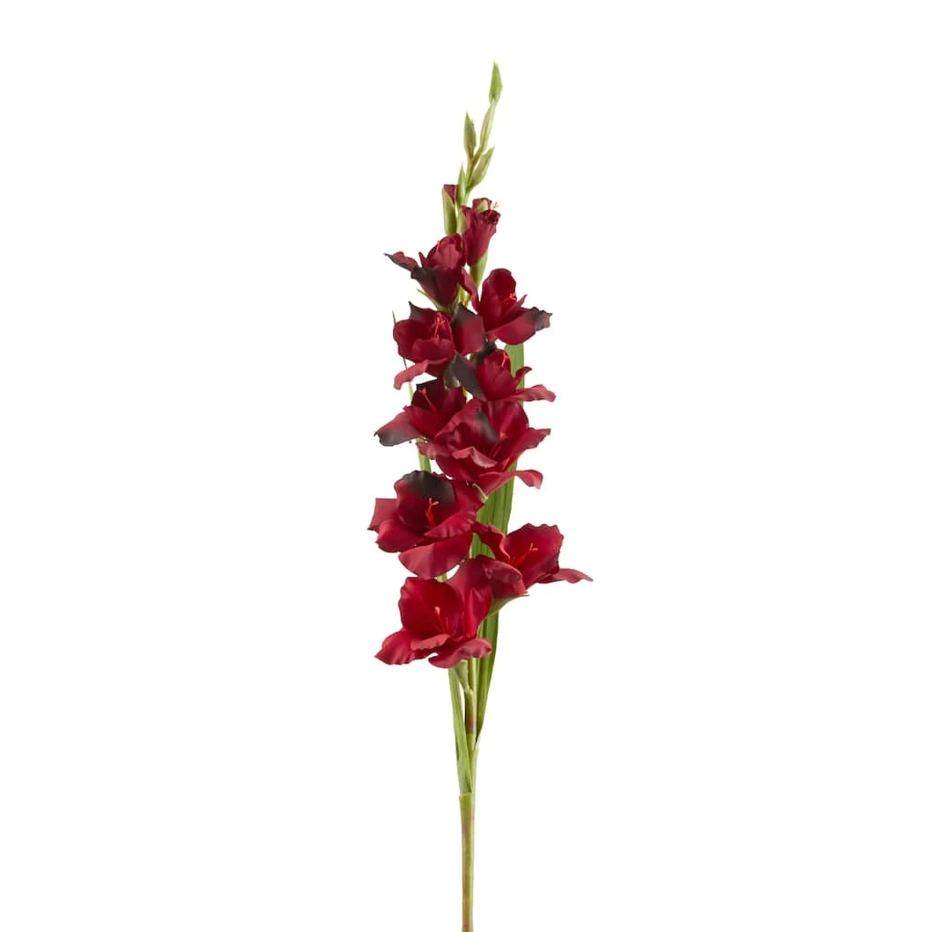 Cheapest 💯 Gladiolus Stem by Ashland® ✨ 6 Cheapest 💯 Gladiolus Stem by Ashland® ✨ - Image 4