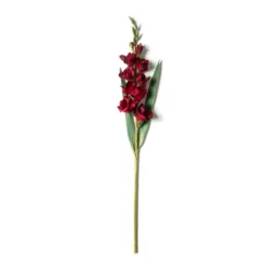 Cheapest 💯 Gladiolus Stem by Ashland® ✨