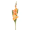 New 𧨠12 Pack: Salmon Gladiolus Stem by Ashland® β¨ 2 New 𧨠12 Pack: Salmon Gladiolus Stem by Ashland® β¨ -Outlet Yuletide Joy Store 10451152