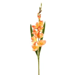New 🧨 12 Pack: Salmon Gladiolus Stem by Ashland® ✨