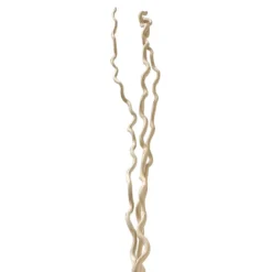 New 🛒 Cream Curly Willow Branch Bundle by Ashland® ⌛