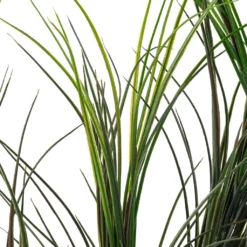 Best deal 😉 Assorted Green Grass Bush by Ashland® ✨ -Outlet Yuletide Joy Store 10454490 20