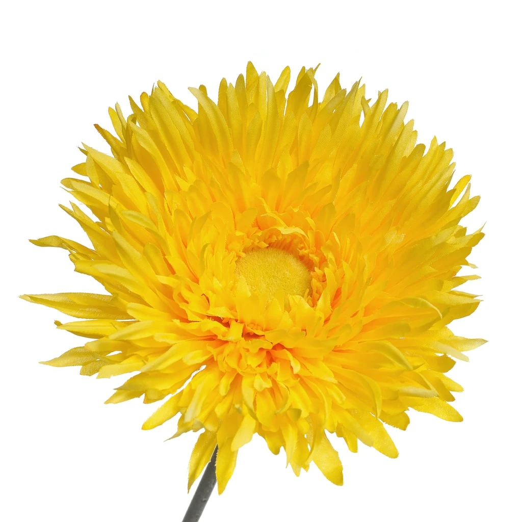 Outlet 🧨 Jumbo Yellow Spider Gerber Daisy Stem by Ashland® ✨ 5 Outlet 🧨 Jumbo Yellow Spider Gerber Daisy Stem by Ashland® ✨ - Image 3