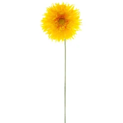 Outlet ๐งจ Jumbo Yellow Spider Gerber Daisy Stem by Ashland® โจ