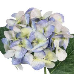 Flash Sale 🔥 Hydrangea Stem by Ashland® ✔️ -Outlet Yuletide Joy Store 10457437 3