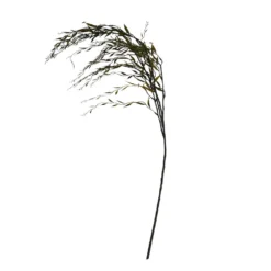 Best reviews of ⌛ Green Weeping Willow Stem by Ashland® ⌛