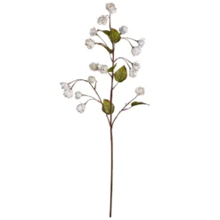 New 😀 12 Pack: Cream Hops Spray by Ashland® 🧨