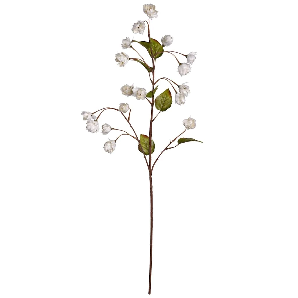 Best reviews of ✔️ Cream Hops Spray by Ashland® 🤩 3 Best reviews of ✔️ Cream Hops Spray by Ashland® 🤩