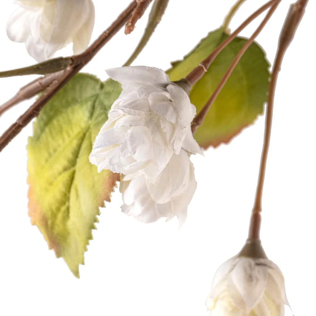 Best reviews of ✔️ Cream Hops Spray by Ashland® 🤩 4 Best reviews of ✔️ Cream Hops Spray by Ashland® 🤩 - Image 2