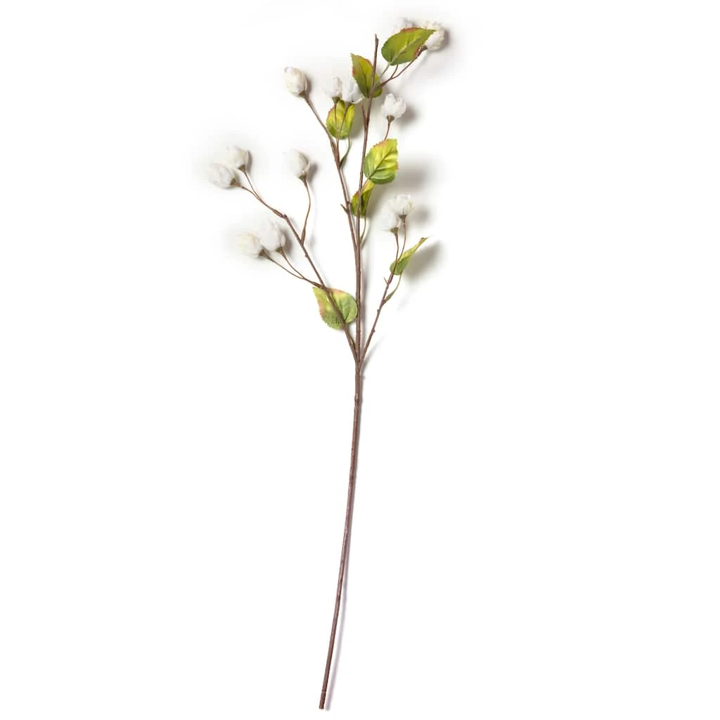 Best reviews of ✔️ Cream Hops Spray by Ashland® 🤩 6 Best reviews of ✔️ Cream Hops Spray by Ashland® 🤩 - Image 4