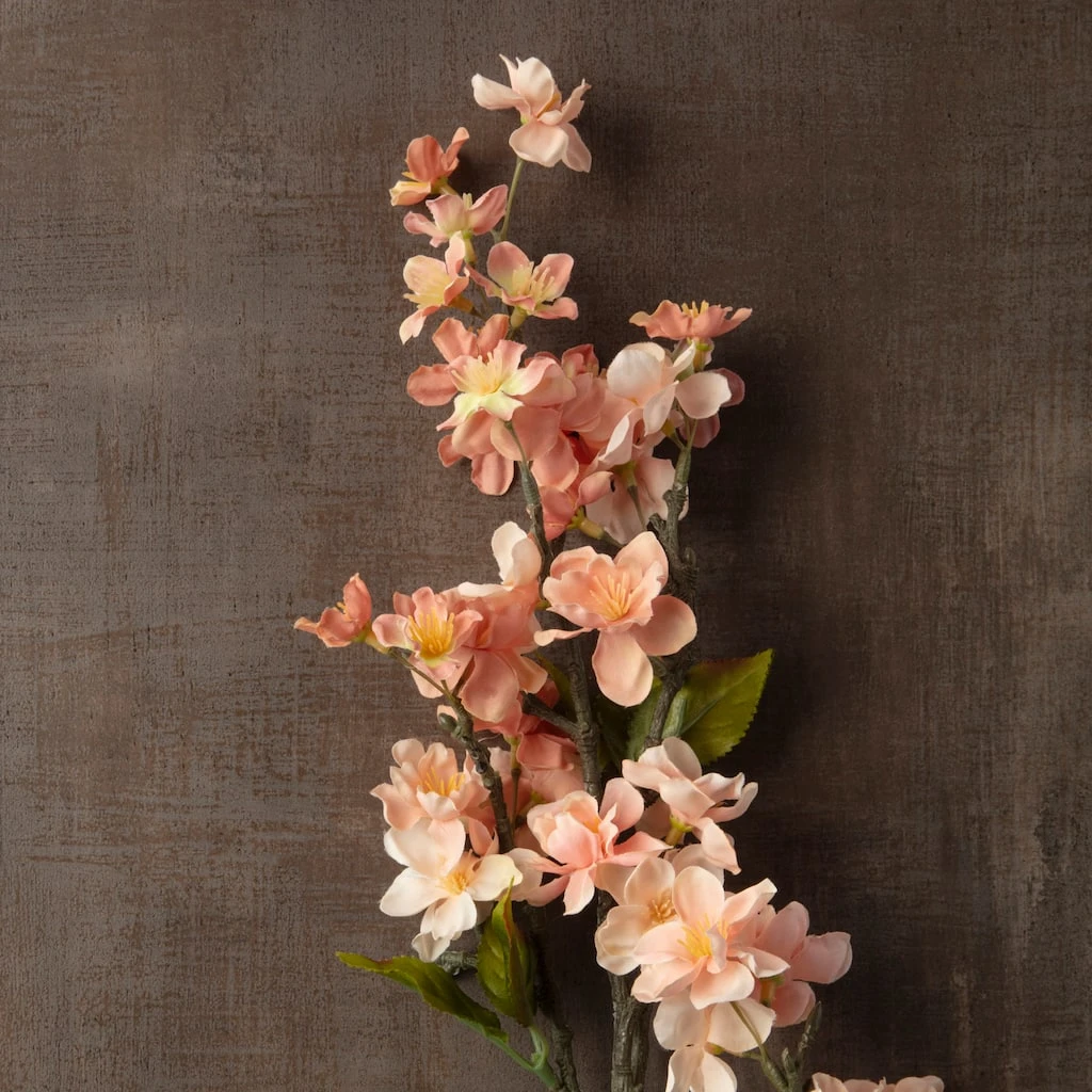 Top 10 🎁 Pink & White Apple Blossom Stem by Ashland® ⌛ 5 Top 10 🎁 Pink & White Apple Blossom Stem by Ashland® ⌛ - Image 3