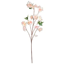 Best Pirce ⌛ Coral Blossom Stem by Ashland® 💯