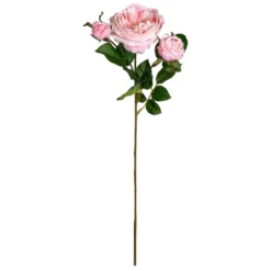 Flash Sale 👍 12 Pack: Light Pink English Rose Stem by Ashland® 👏
