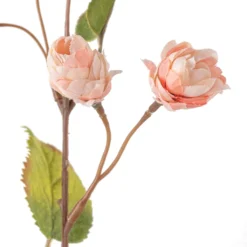 New ❤️ Blush Hops Stem by Ashland® 🔥 -Outlet Yuletide Joy Store 10461606 20