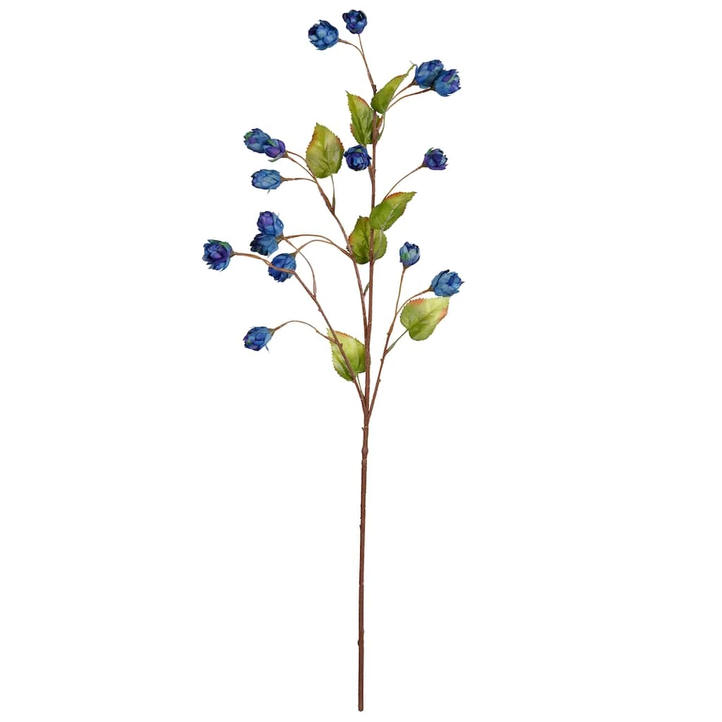 Best Pirce 💯 Navy Hops Stem by Ashland® ⭐ 6 Best Pirce 💯 Navy Hops Stem by Ashland® ⭐ - Image 4