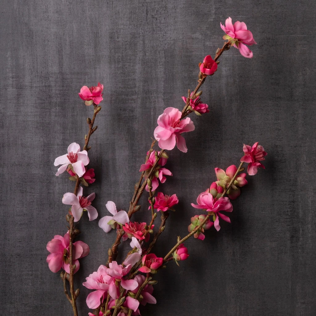 Brand new ⌛ Peach Blossom Stem by Ashland® ❤️ 4 Brand new ⌛ Peach Blossom Stem by Ashland® ❤️ - Image 2