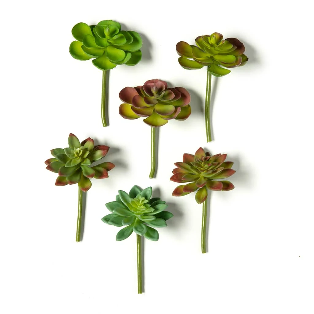 Wholesale π Assorted Snap-On Succulent Pick By Ashland® π₯ 3 Wholesale π Assorted Snap-On Succulent Pick By Ashland® π₯