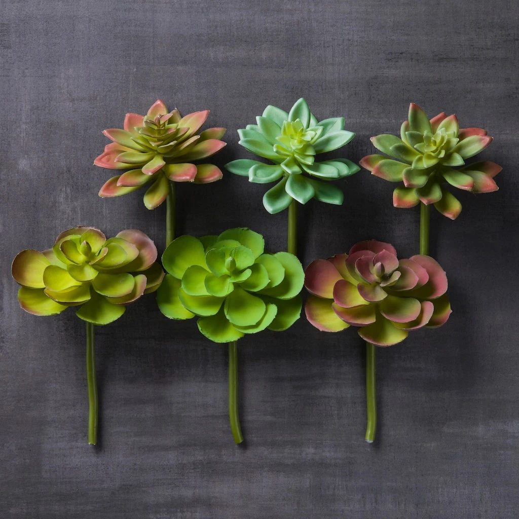 Wholesale π Assorted Snap-On Succulent Pick By Ashland® π₯ 4 Wholesale π Assorted Snap-On Succulent Pick By Ashland® π₯ - Image 2