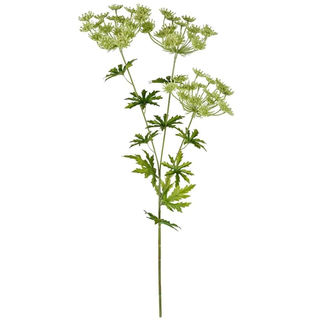 New 🔥 12 Pack: Light Green Queen Anne's Lace Spray by Ashland® 🔥 3 New 🔥 12 Pack: Light Green Queen Anne's Lace Spray by Ashland® 🔥