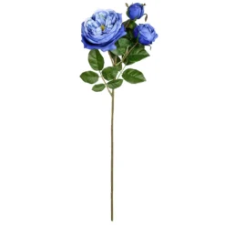 Coupon ✔️ Blue English Rose Stem by Ashland® 💯 -Outlet Yuletide Joy Store 10501503