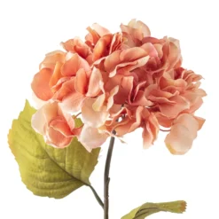 Best Sale 😍 Coral Two-Toned Hydrangea Stem by Ashland® ⌛ -Outlet Yuletide Joy Store 10501508 20