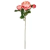 Best Sale ❤️ 12 Pack: Pink Coral English Rose Stem by Ashland® ⭐ -Outlet Yuletide Joy Store 10501509 1
