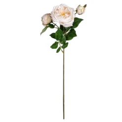 Best deal ⭐ Toast English Rose Stem by Ashland® 🤩