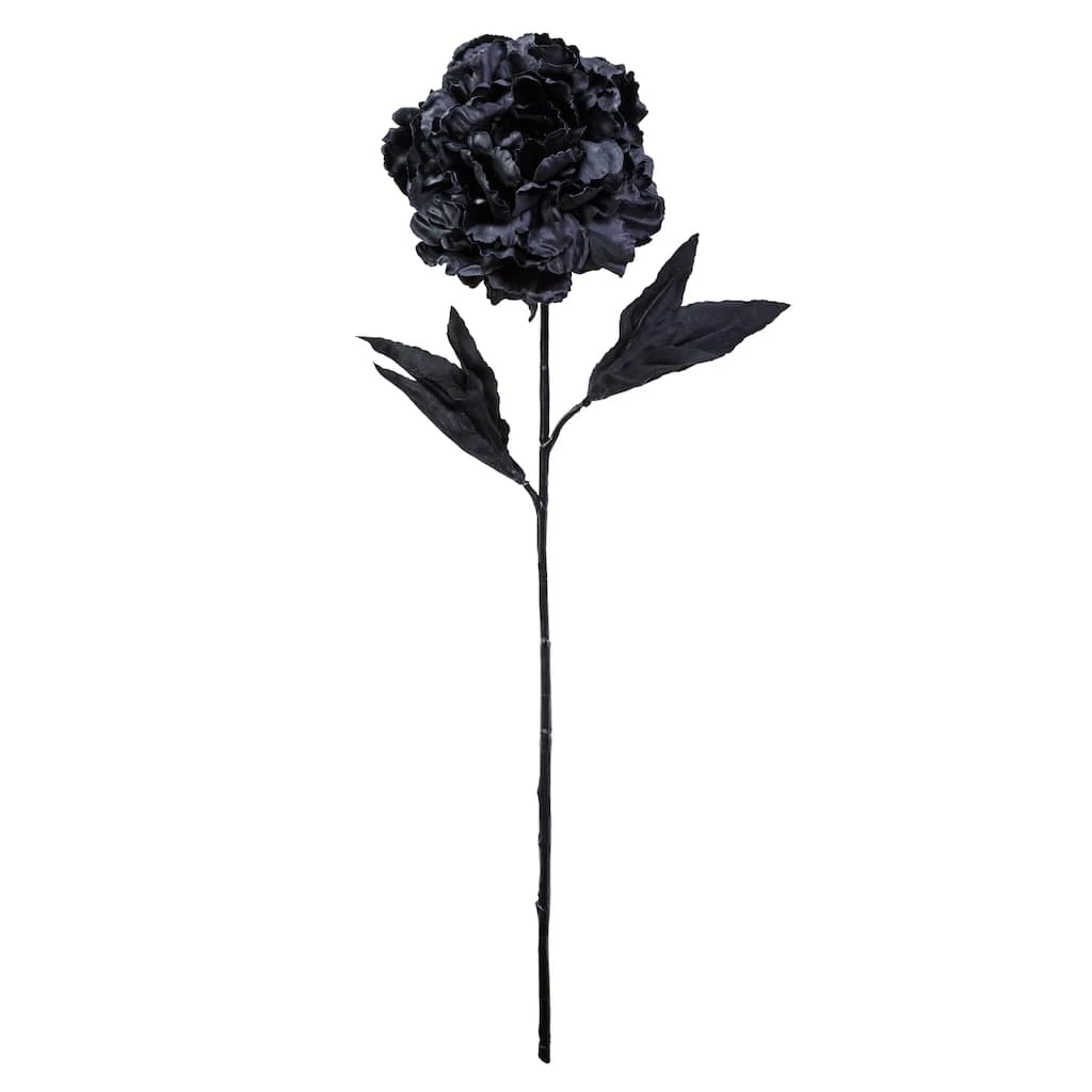 New β 12 Pack: Black Peony Stem by Ashland® π 3 New β 12 Pack: Black Peony Stem by Ashland® π
