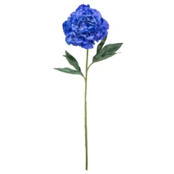 Coupon ๐ 12 Pack: Navy Peony Stem by Ashland® ๐
