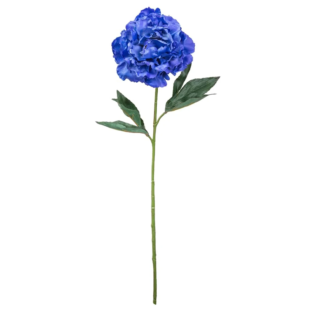 New β Peony Stem by Ashland® π 3 New β Peony Stem by Ashland® π