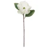 Cheapest βοΈ White Magnolia Stem by Ashland® π 2 Cheapest βοΈ White Magnolia Stem by Ashland® π -Outlet Yuletide Joy Store 10501956