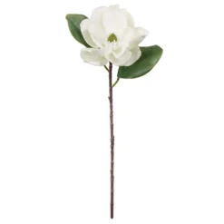 Cheapest ✔️ White Magnolia Stem by Ashland® 🎉
