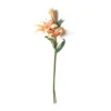 Deals π Casablanca Lily Stem by Ashland® π 2 Deals π Casablanca Lily Stem by Ashland® π -Outlet Yuletide Joy Store 10501957 21