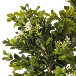 Coupon ✔️ Boxwood & Berry Bush by Ashland® ⭐ -Outlet Yuletide Joy Store 10546917 20