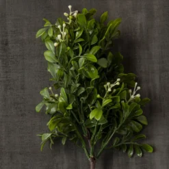 Top 10 🥰 Boxwood Pick By Ashland® 😉 -Outlet Yuletide Joy Store 10546920 25