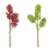Flash Sale 🎁 24 Pack: Assorted 3 Head Succulent Pick by Ashland® 💯
