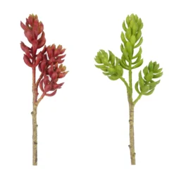 Flash Sale ๐ 24 Pack: Assorted 3 Head Succulent Pick by Ashland® ๐ฏ