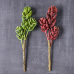 Brand new 🎁 Assorted Succulent Pick with 3 Heads By Ashland® 🔔 -Outlet Yuletide Joy Store 10546921 22