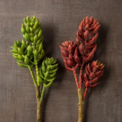 Brand new 🎁 Assorted Succulent Pick with 3 Heads By Ashland® 🔔 -Outlet Yuletide Joy Store 10546921 25