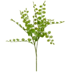 Coupon ๐ฅ Assorted Fern Pick By Ashland® ๐