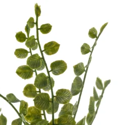 Coupon 🔥 Assorted Fern Pick By Ashland® 🌟 -Outlet Yuletide Joy Store 10546923 20