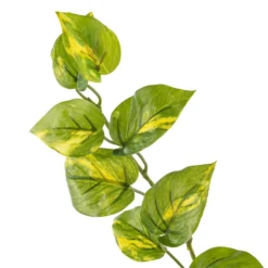 Deals ✔️ Hanging Philo Bush by Ashland® 😀 -Outlet Yuletide Joy Store 10547222 20