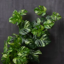 Brand new 🌟 Split Hanging Philo Bush by Ashland® 😀 -Outlet Yuletide Joy Store 10547223 22