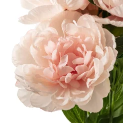 New ⭐ Coral Peony Bush by Ashland® 🌟 -Outlet Yuletide Joy Store 10547347 20
