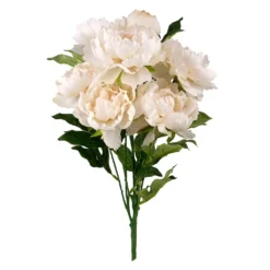 Best Sale ⭐ Cream Peony Bush by Ashland® ⌛