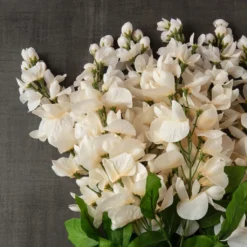 Wholesale 😀 Cream Wisteria Bush by Ashland® 🌟 -Outlet Yuletide Joy Store 10547398 25