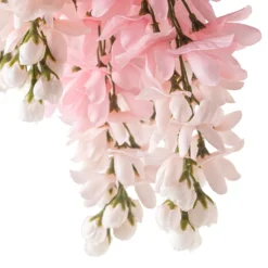 Budget 🛒 Pink Wisteria Bush by Ashland® ✨ -Outlet Yuletide Joy Store 10547399 20