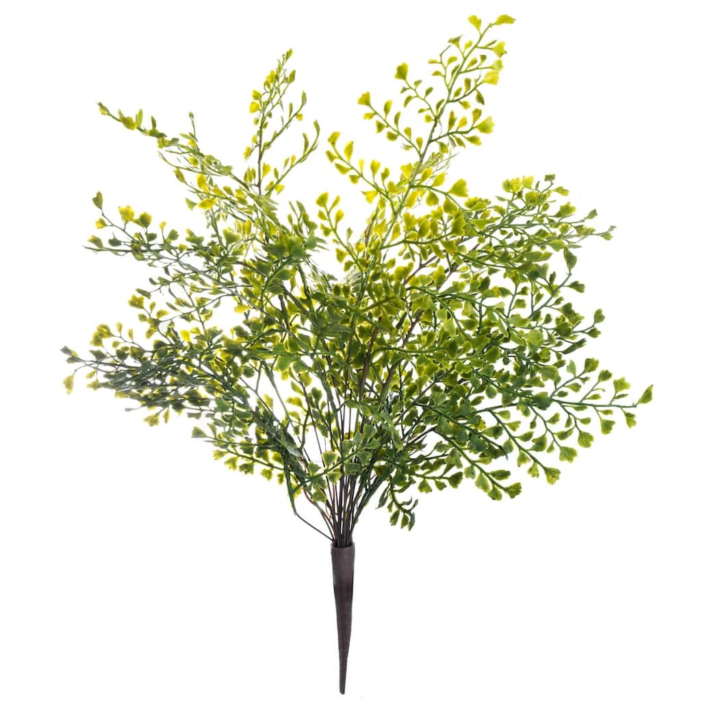 Best Pirce ❤️ Forest Fern Bush by Ashland® ✨ 3 Best Pirce ❤️ Forest Fern Bush by Ashland® ✨