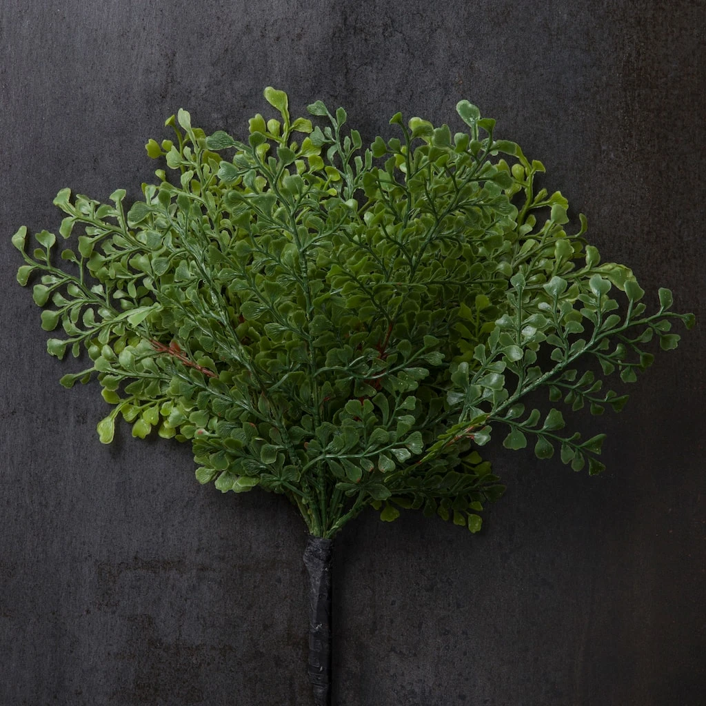 Best Pirce ❤️ Forest Fern Bush by Ashland® ✨ 4 Best Pirce ❤️ Forest Fern Bush by Ashland® ✨ - Image 2